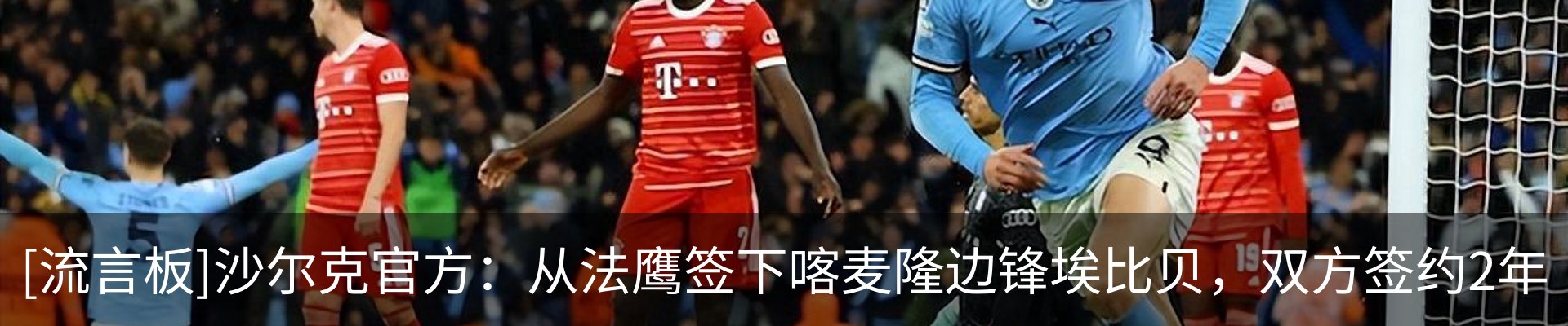 最新动态